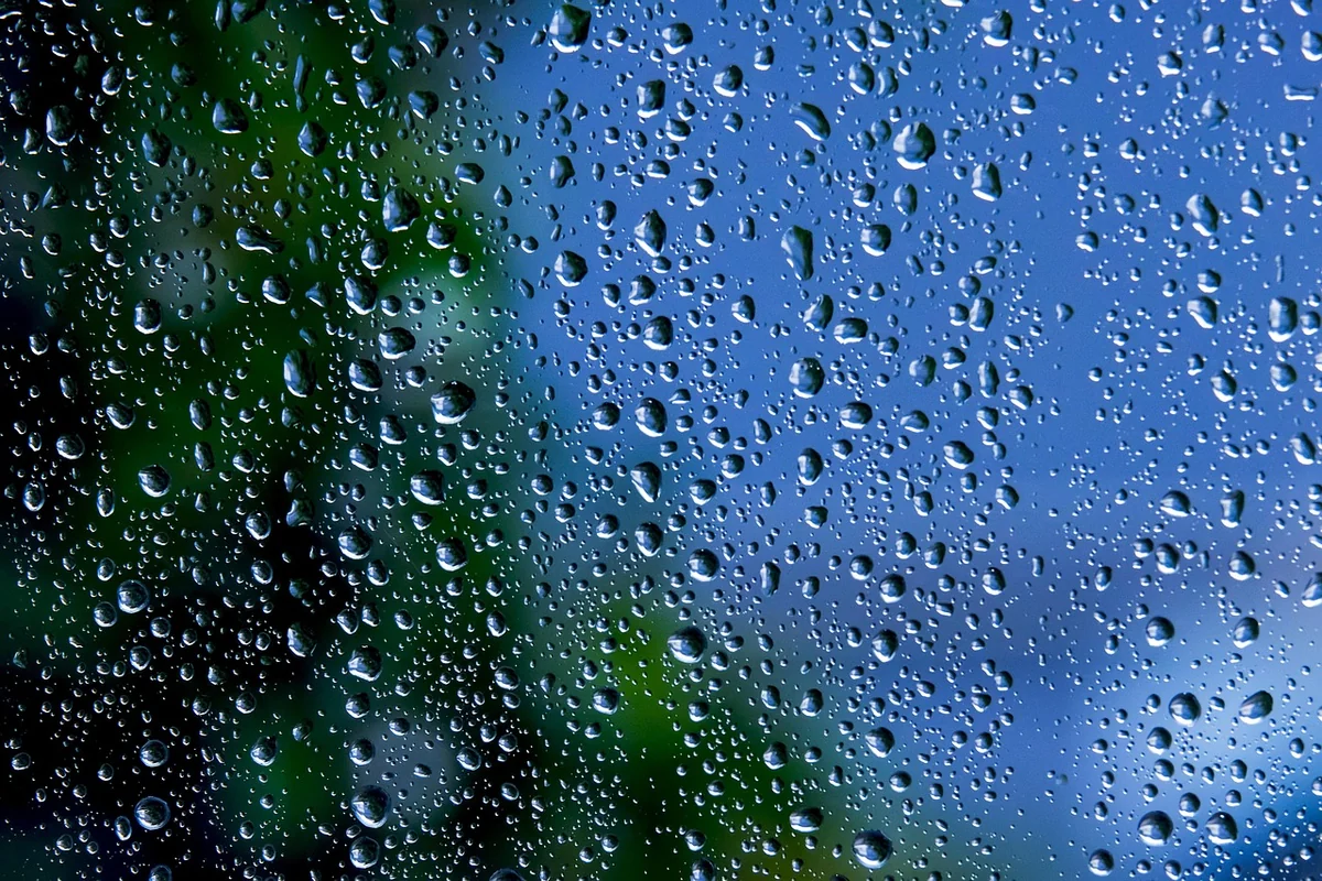 Guide complet 2026 : installer facilement votre système d'irrigation goutte à goutte